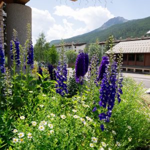 JARDIVERT_chantiers_HAUTES_ALPES_82